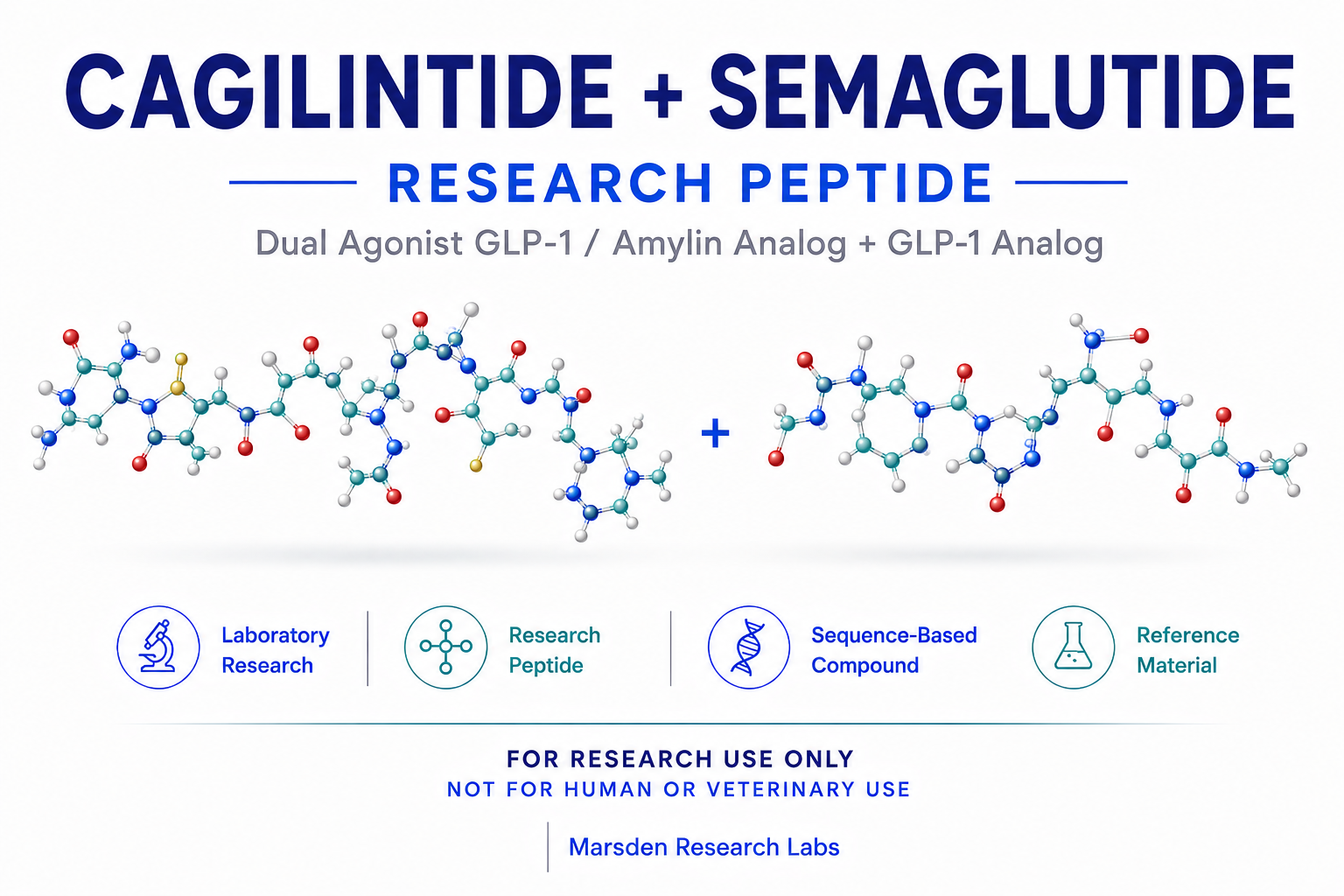 Cagilintide + Semaglutide research reference image