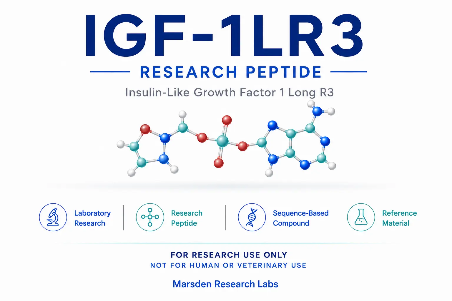 IGF-1LR3 research reference image