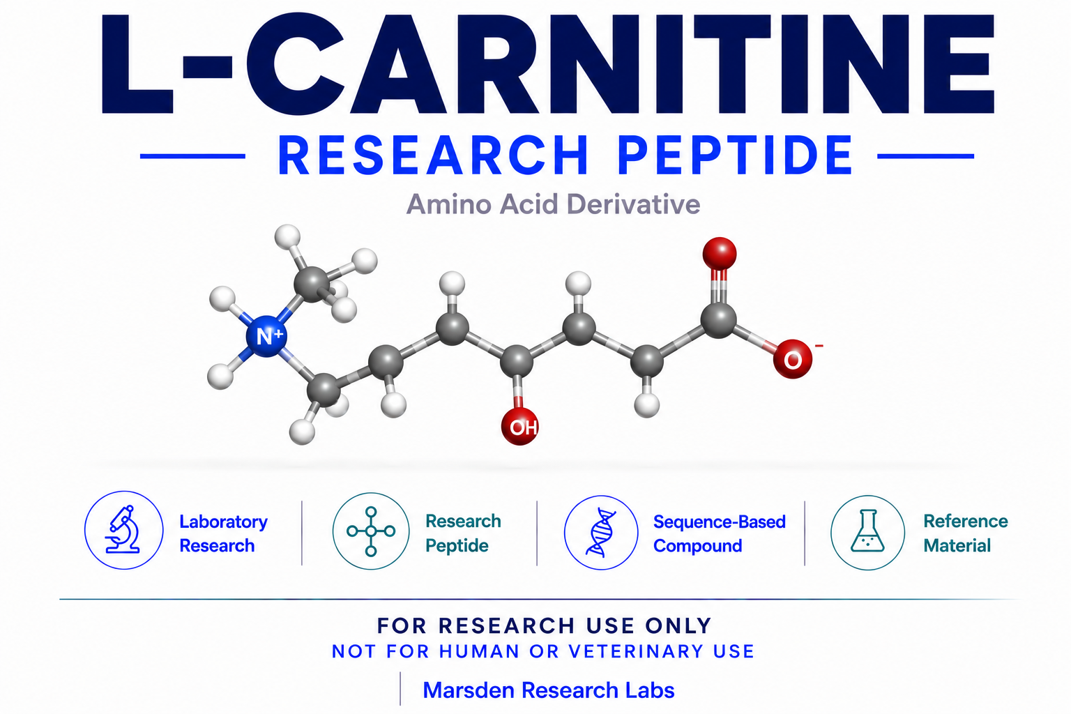 L-Carnitine research reference image