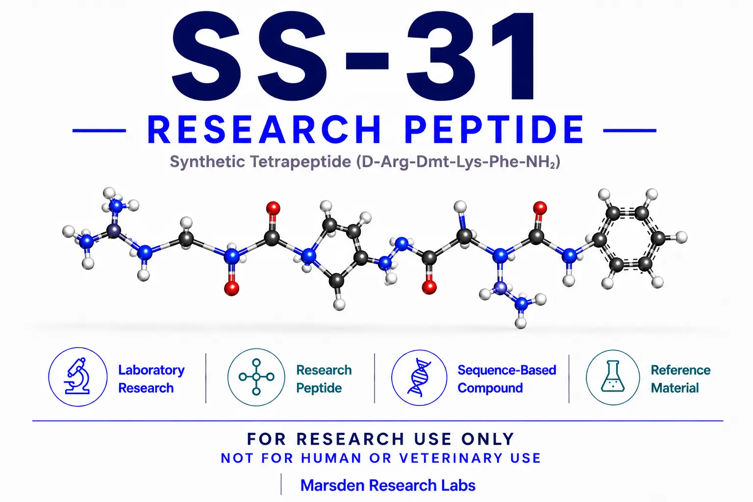 SS-31 research reference image