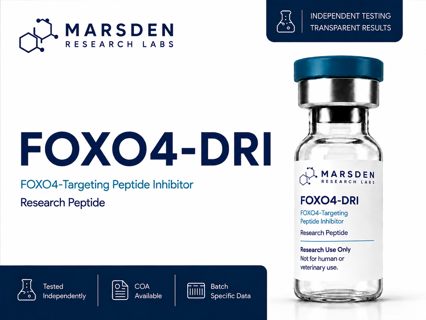 FOXO4-DRI
