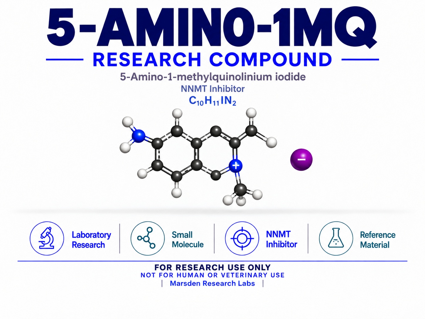5-Amino-1MQ research reference image